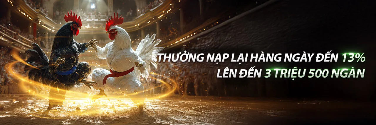 79king78 Đá Gà Trực Tuyến - Sân Chơi Đẳng Cấp
