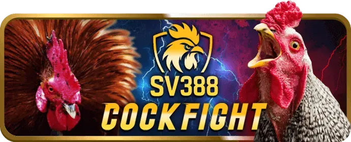 Chơi game có trách nhiệm và an toàn tại 79king78 vom